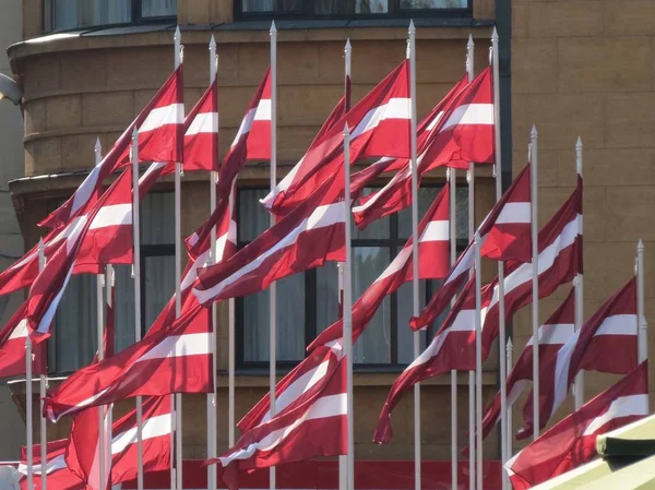Muitas bandeiras da Letónia — Fotografia de Stock