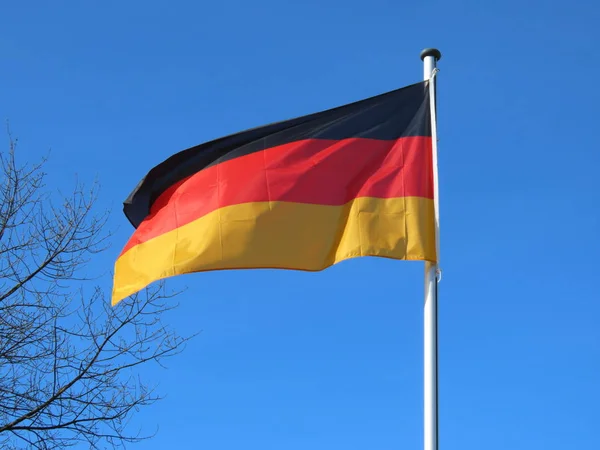 Deutsche Fahne im Frühling — Stockfoto