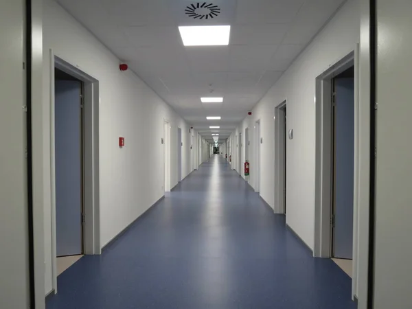 Modern koridor yeşil