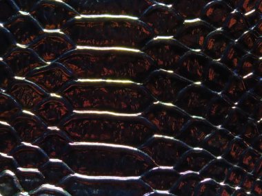 Holografik timsah deseni