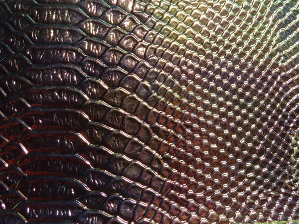 Голографічний візерунок крокодила — стокове фото