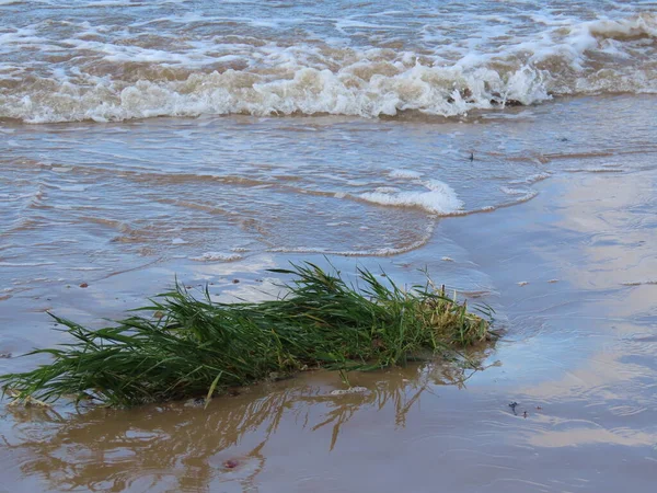 Baltık deniz dalgaları — Stok fotoğraf
