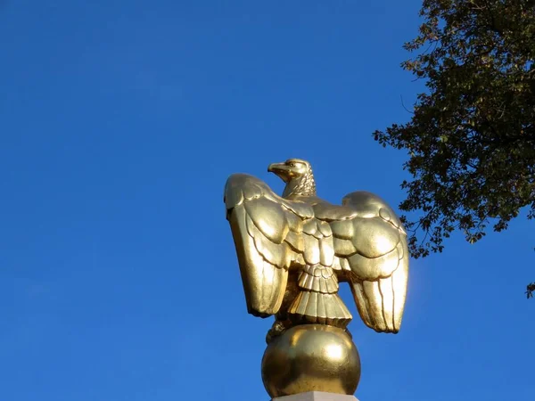 Águia dourada americana — Fotografia de Stock
