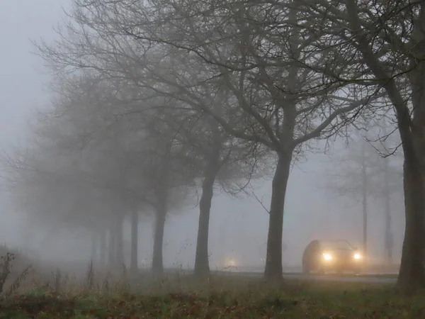 Car driving in fog