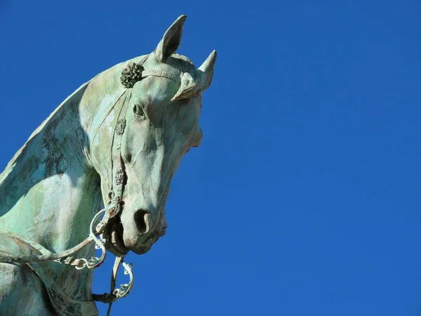 Bronz at başı — Stok fotoğraf