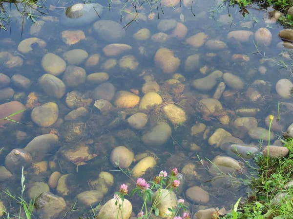 Transparent drainage pond — 스톡 사진