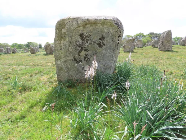 Alineaciones de megalitos de Carnac — Foto de Stock