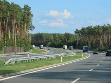 Ormanda yeni otoyol