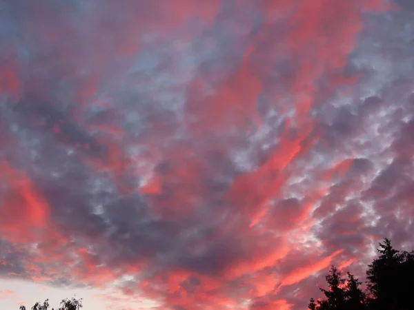 Dramático atardecer rojo — Foto de Stock