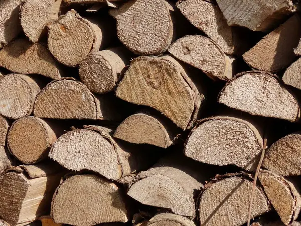 Stack of firewood — Stock Photo, Image