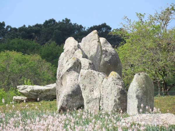 Alineaciones de megalitos de Carnac — Foto de Stock