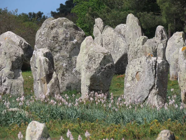 Alineaciones de megalitos de Carnac — Foto de Stock