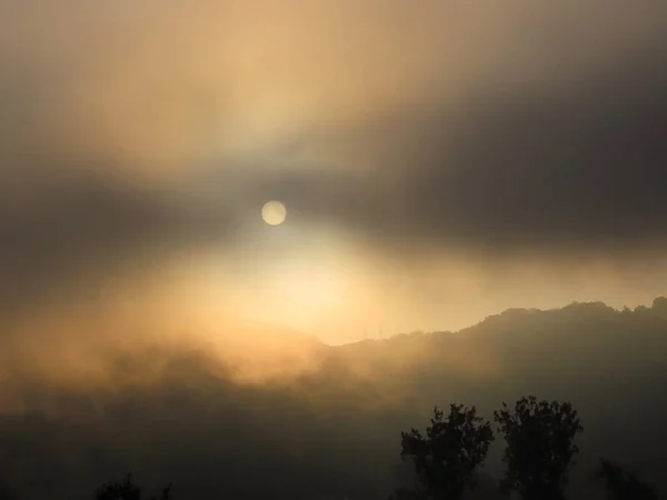 Niebla dorada mañana — Foto de Stock