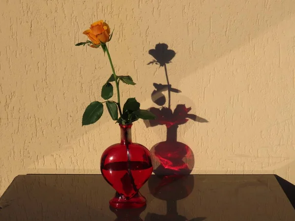 Помаранчева троянда в червоній пляшці — стокове фото
