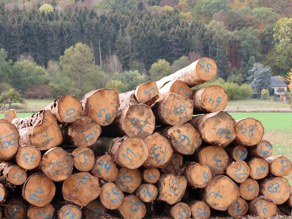 Heap of timber — Stock Photo, Image