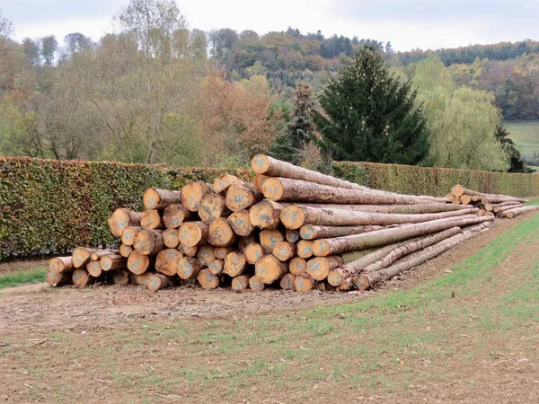 Heap of timber — Stock Photo, Image