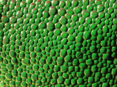 Holografik Kaz Tümseği Deseni