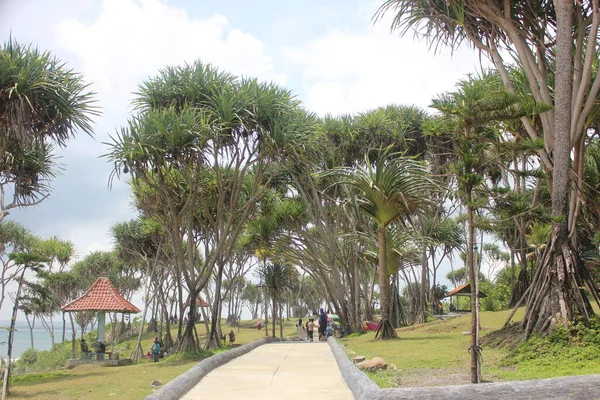 Parque Batu Hiu Oeste Java Indonésia — Fotografia de Stock