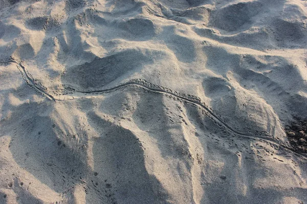 Текстура Песка Пляже Пангандаран Западная Ява Индонезия — стоковое фото