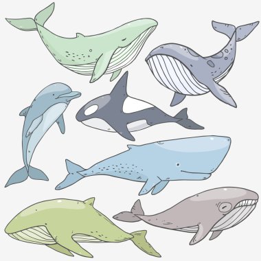 pattern with sea life collection of whales clipart