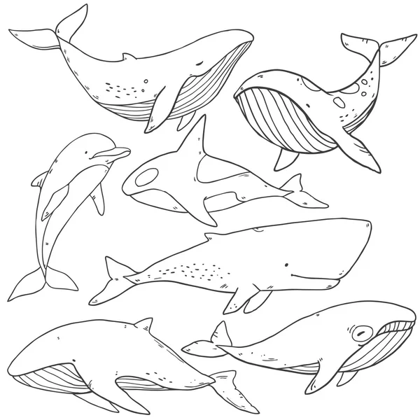 Modèle avec vie marine collection de baleines — Image vectorielle