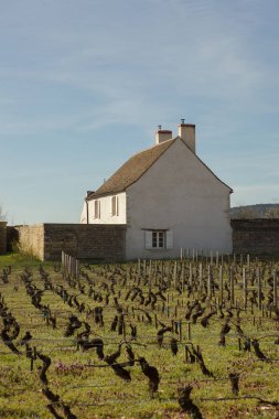 Domaine d 'Eugenie Şaraphanesi, Burgundy, Fransa