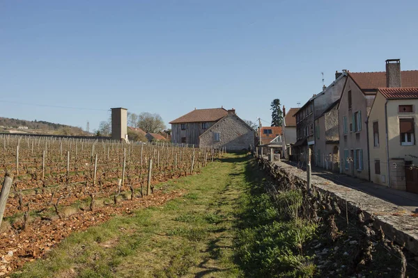 Clos Tart Winery Burgundy France — Stock Photo, Image