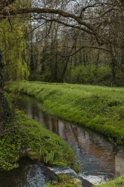 Şato Angludet Şaraphanesi, Bordeaux, Fransa