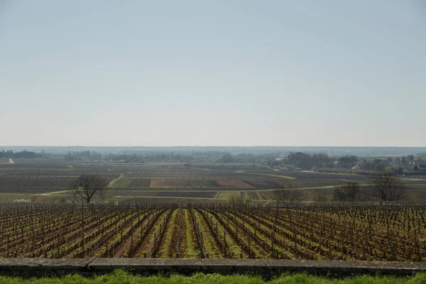 Olivier Leflaive Winery Borgoña Francia — Foto de Stock