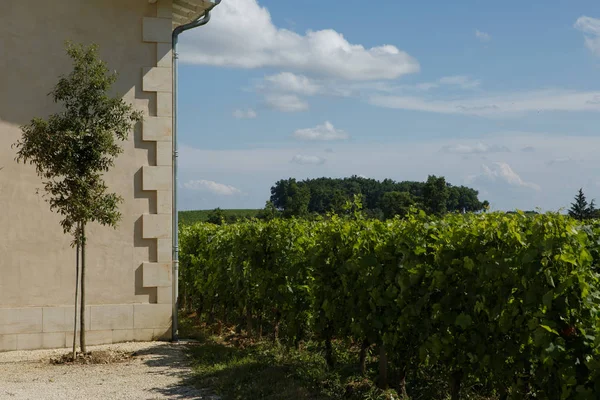 Винодельня Chateau Rocheyron Бордо Франция — стоковое фото