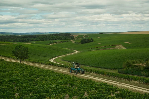 Domaine Jean Marc Brocard Chablis França Imagens De Bancos De Imagens