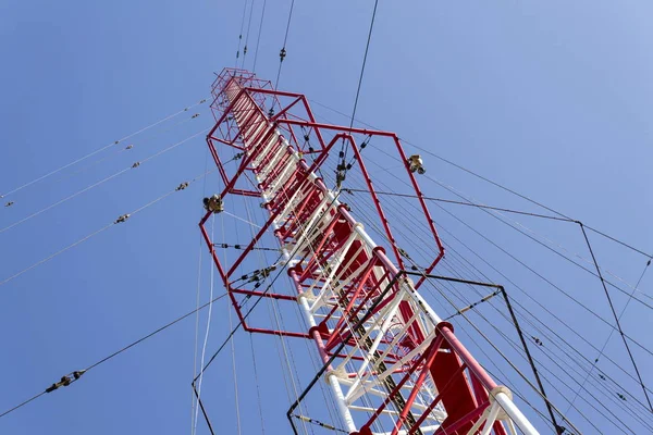 Uomini che dipingono la più alta torre di trasmissione radio ceca Liblice — Foto Stock