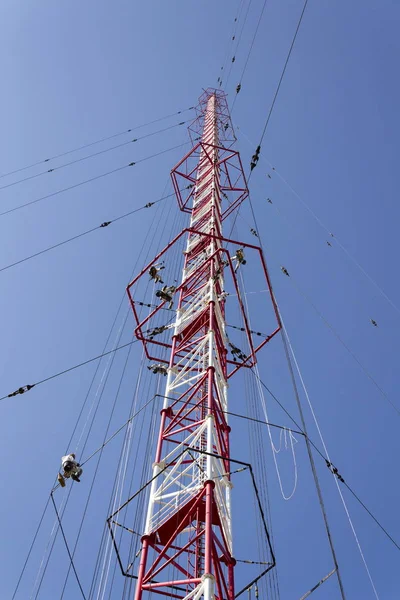 Homens pintando a torre de rádio transmissor de construção checa mais alta Liblice — Fotografia de Stock