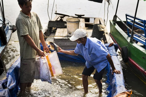 MY THO, VIETNAM - FEBRUARY 14: Fisherman sells fish on boat on February 14, 2012 in My Tho, Vietnam. — Stock Photo, Image