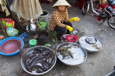 Benim Tho, Vietnam - 15 Şubat: kadın 15 Şubat 2012 yılında My Tho, Vietnam üzerinde balık sokak pazarında satıyor. 
