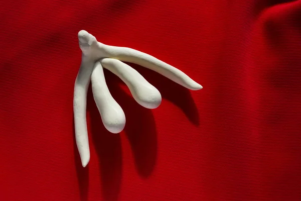 3D εκτυπωμένο γυναικείου φύλου όργανο κλειτορίδα για μαθήματα ανθρώπινης ανατομίας — Φωτογραφία Αρχείου