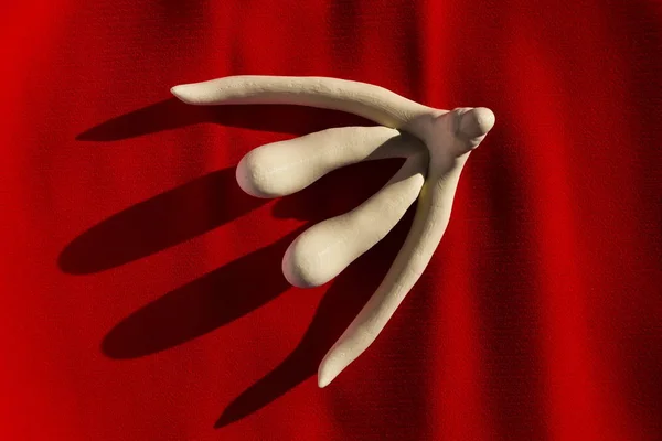 3d imprimé clitoris d'organe sexuel féminin pour les leçons d'anatomie humaine — Photo