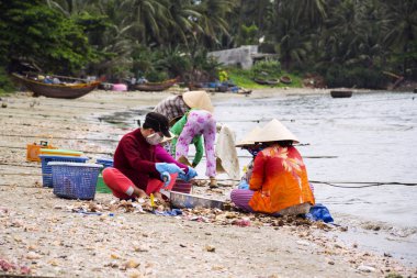 7 Şubat 2012 yılında MUI Ne, Vietnam üzerinde kabukları ile balıkçı tekneleri arka planda işleme kadınlar.
