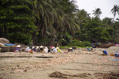 7 Şubat 2012 yılında MUI Ne, Vietnam üzerinde kabukları ile balıkçı tekneleri arka planda işleme kadınlar.