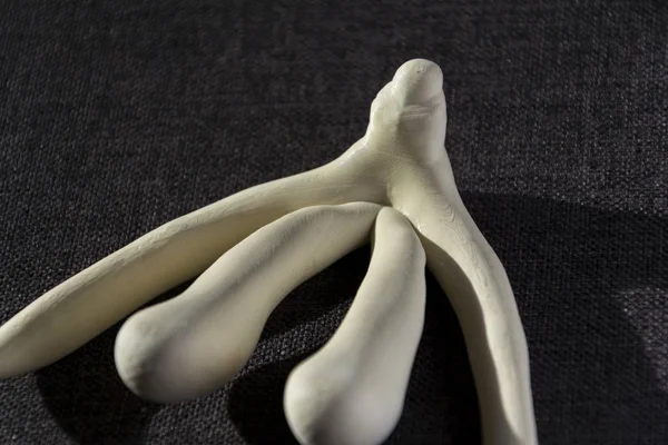 3D-gedrukte vrouwelijk geslacht orgel clitoris voor menselijke anatomie lessen — Stockfoto