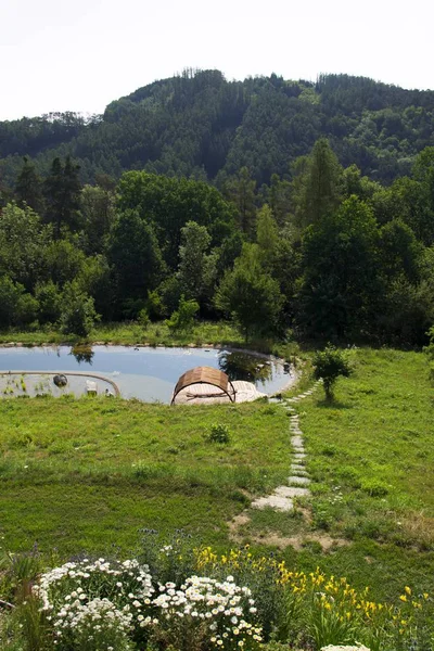 Píer de madeira na lagoa de natação natural que purifica plantas de água — Fotografia de Stock