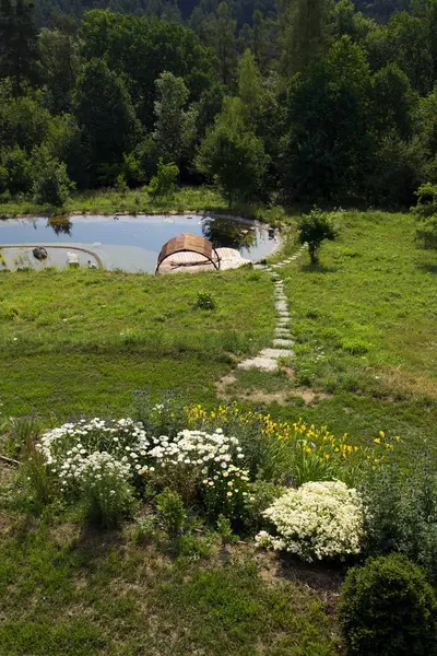 Wooden pier at natural swimming pond purifying water plants — Stock Photo, Image