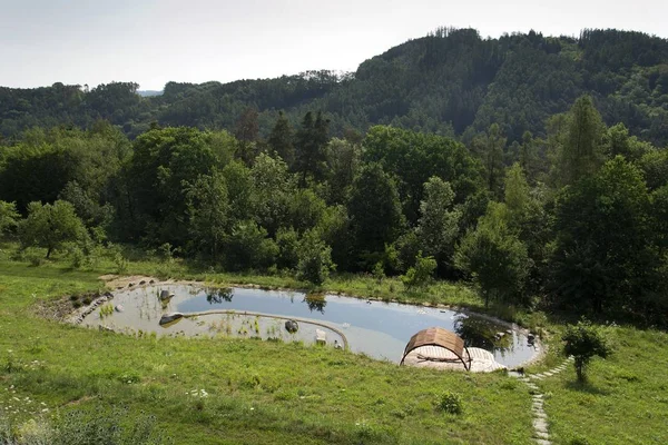 Píer de madeira na lagoa de natação natural que purifica plantas de água — Fotografia de Stock