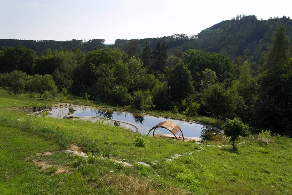 Masse en bois à l'étang de baignade naturel épurant les plantes d'eau — Photo