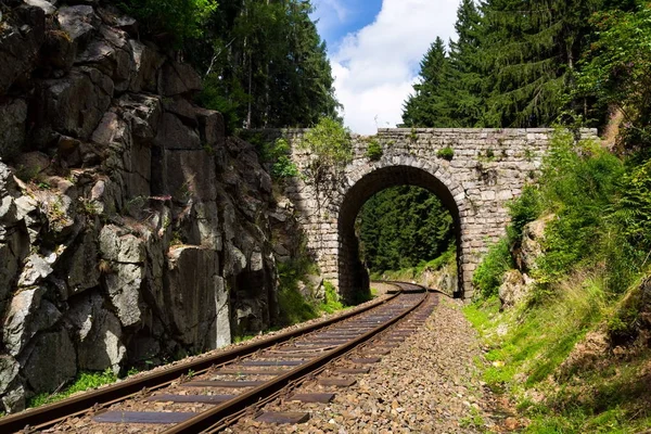 Romantische stenen brug over de spoorweg in prachtig bos, Tsjechië — Stockfoto