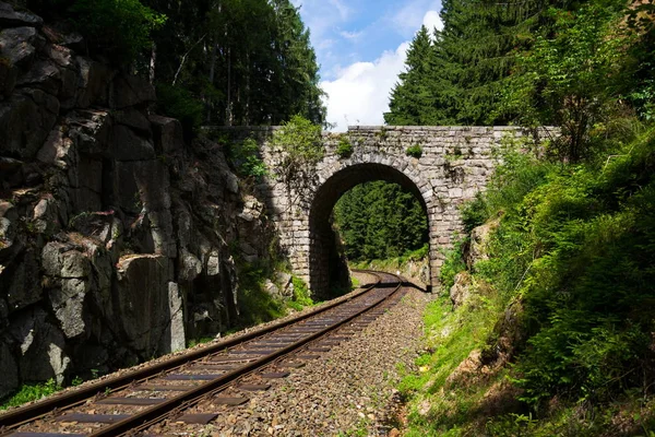 Romantische stenen brug over de spoorweg in prachtig bos, Tsjechië — Stockfoto