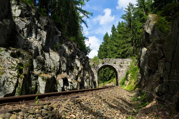 Romantische stenen brug over de spoorweg in prachtig bos, Tsjechië — Stockfoto