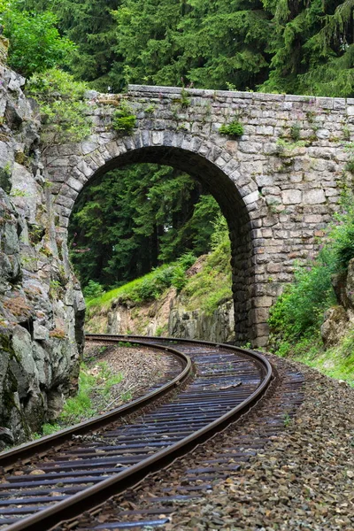 Романтичний Кам'яний міст над залізничного в красивий ліс, Чеська Республіка — стокове фото