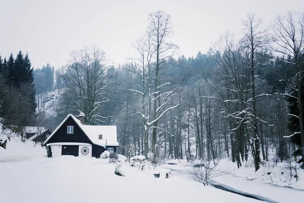 Chalet en las montañas nevadas país, niebla día de invierno, República Checa — Foto de Stock
