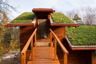 Green living roof on wooden building covered with vegetation clipart
